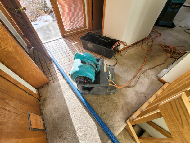 Best Fire Damage Restoration  in Five Points, NC