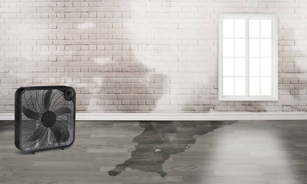 Five Points, NC Water damage restoration Company