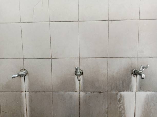 Best Water damage contractors near me  in Five Points, NC