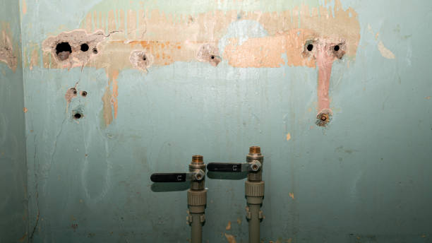 Best Water damage restoration near me  in Five Points, NC