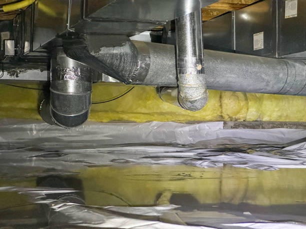 Best Water damage contractors near me  in Five Points, NC