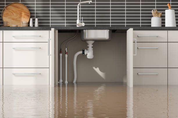 Best Water damage cleanup near me  in Five Points, NC