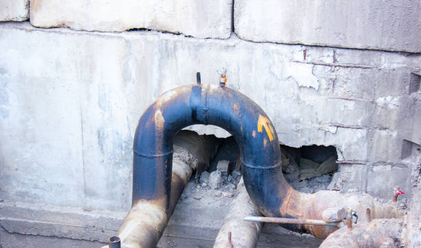 Best Water damage repair service  in Five Points, NC