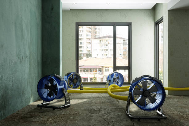 Sewage cleanup and water damage restoration in Five Points, NC
